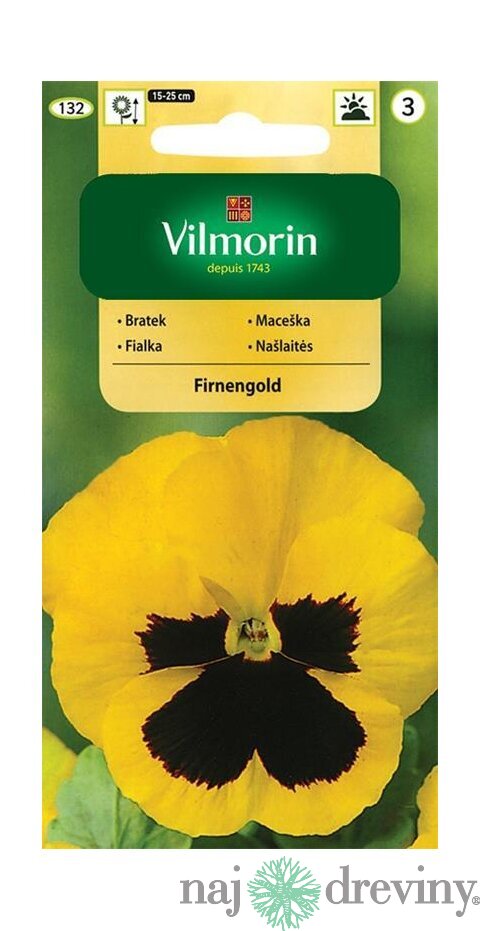 Vilmorin Fialka-sirôtka veľkokvetá švajčiarska semiačka Firnengold