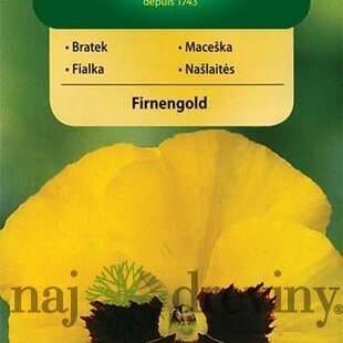 Vilmorin Fialka-sirôtka veľkokvetá švajčiarska semiačka Firnengold