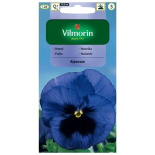 Vilmorin Fialka-sirôtka veľkokvetá švajčiarska semiačka Thunersee Syn. Alpensee