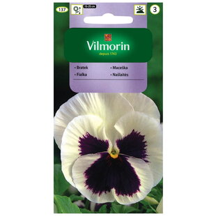 Vilmorin Fialka-sirôtka veľkokvetá švajčiarska semiačka Weiss Mit Auge