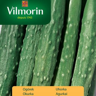 Vilmorin Japonská uhorka SOUTHERN DELIGHT F1 1 g