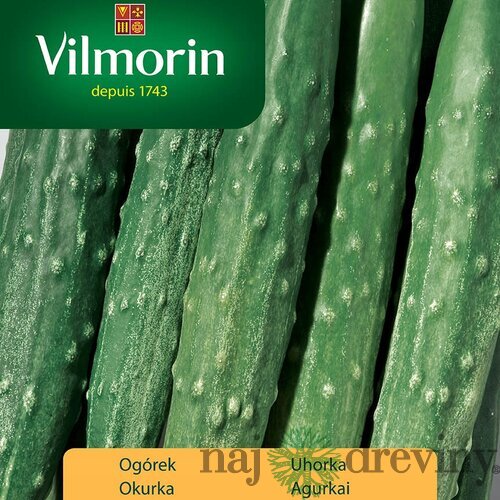 Vilmorin Japonská uhorka SOUTHERN DELIGHT F1 1 g
