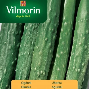 Vilmorin Japonská uhorka SOUTHERN DELIGHT F1 1 g