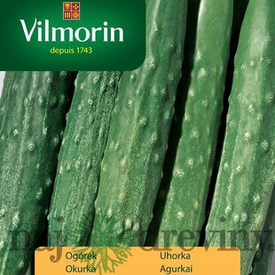 Vilmorin Japonská uhorka SOUTHERN DELIGHT F1 1 g