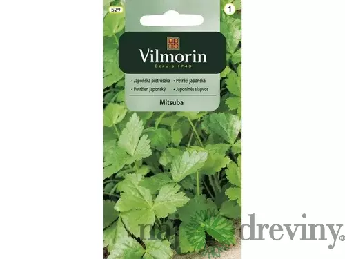 Vilmorin japonský petržlen MITSUBA 0.4 g