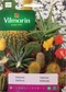 Vilmorin Kaktusy mix semiačka 0.3 g