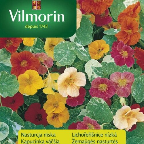 Vilmorin Kapucínka väčšia mix semiačka