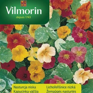 Vilmorin Kapucínka väčšia mix semiačka