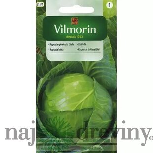 Vilmorin kapusta biela hlávková Dita 2 g