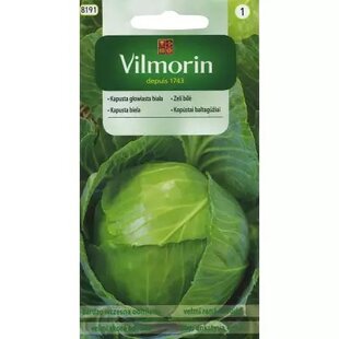 Vilmorin kapusta biela hlávková Dita 2 g