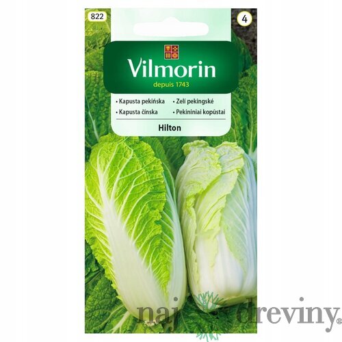 Vilmorin kapusta čínska-pekingkská Hilton 0.5 g