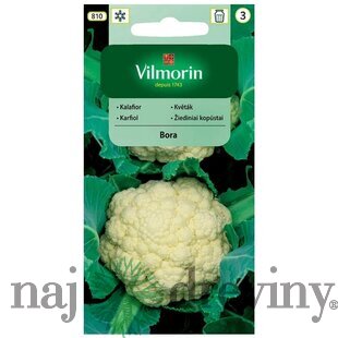 Vilmorin karfiol biely Bora skorý 1 g