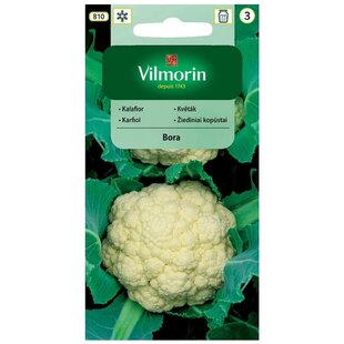 Vilmorin karfiol biely Bora skorý 1 g