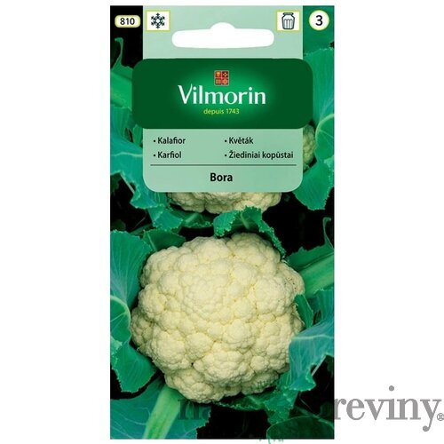 Vilmorin karfiol biely Bora skorý 1 g
