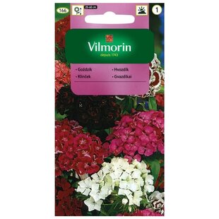 Vilmorin klinček bradatý semiačka