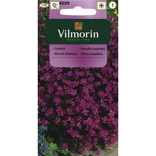 Vilmorin klinček slzičkový semiačka