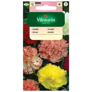 Vilmorin klinček záhradný semiačka