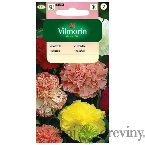 Vilmorin klinček záhradný semiačka