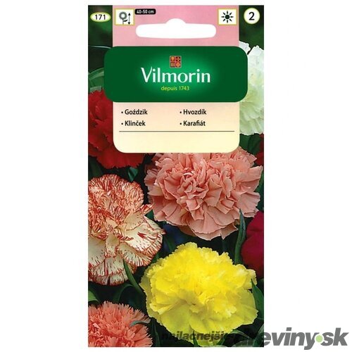 Vilmorin klinček záhradný semiačka