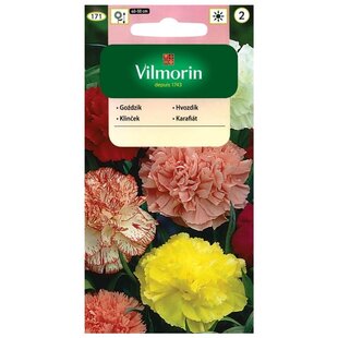 Vilmorin klinček záhradný semiačka