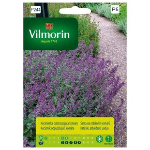 Vilmorin Kocúrnik odpodzujúci komáre semiačka