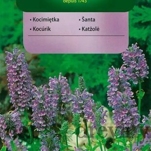 Vilmorin Kocúrnik semiačka