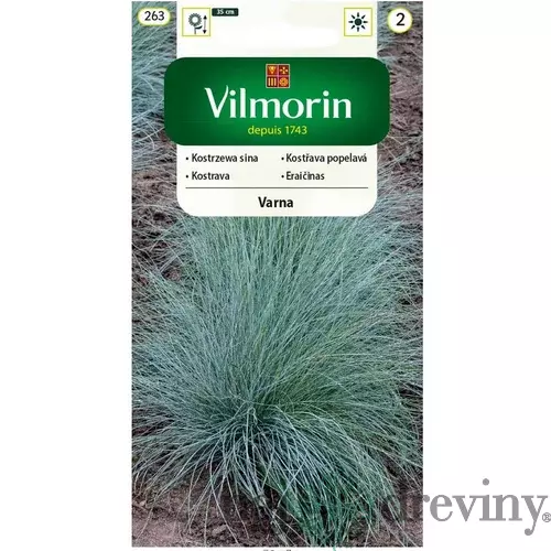 Vilmorin Kostráva sivá -Varna semiačka 0.4 g