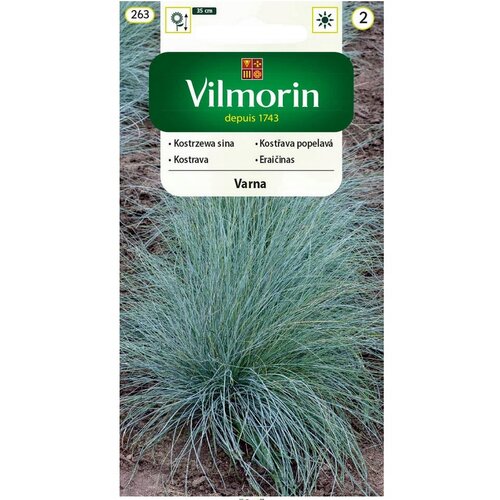 Vilmorin Kostráva sivá -Varna semiačka 0.4 g