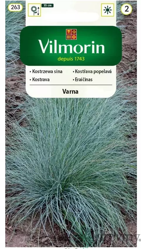 Vilmorin Kostráva sivá -Varna semiačka 0.4 g