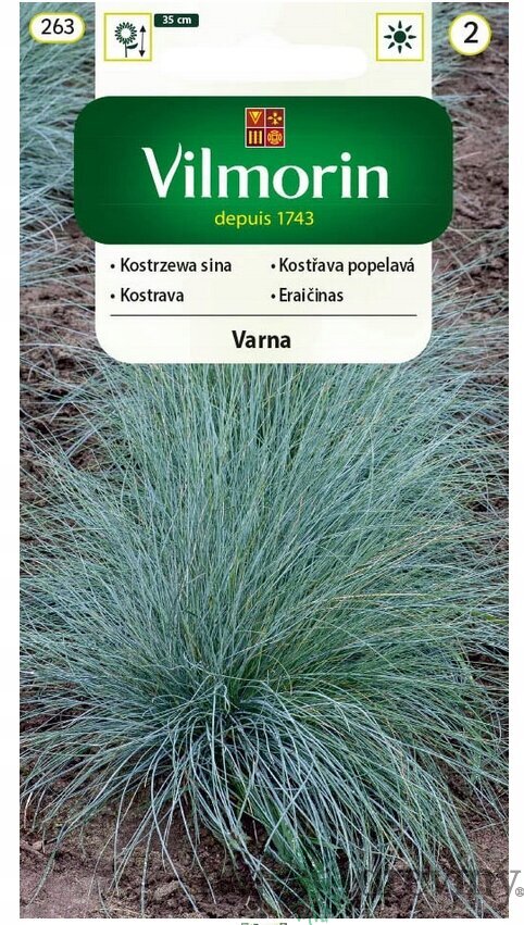 Vilmorin Kostráva sivá -Varna semiačka 0.4 g