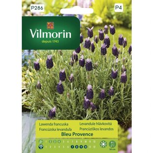 Vilmorin-Levanduľa Francúzska