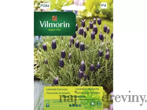 Vilmorin-Levanduľa Francúzska