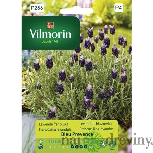Vilmorin-Levanduľa Francúzska