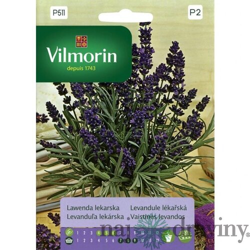 Vilmorin-Levanduľa lekárska 0.2 g