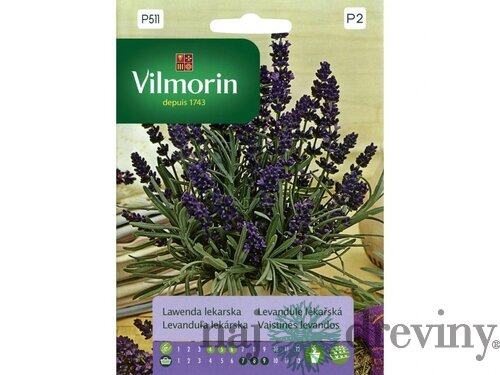 Vilmorin-Levanduľa lekárska