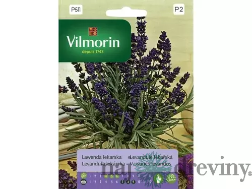 Vilmorin-Levanduľa lekárska