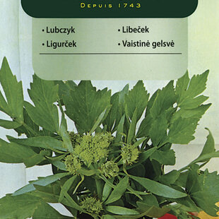 Vilmorin Ligurček semiačka 0.5 g