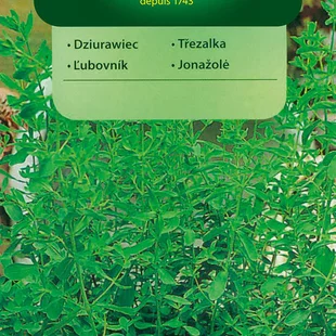 Vilmorin Ľubovník semiačka 0.2 g