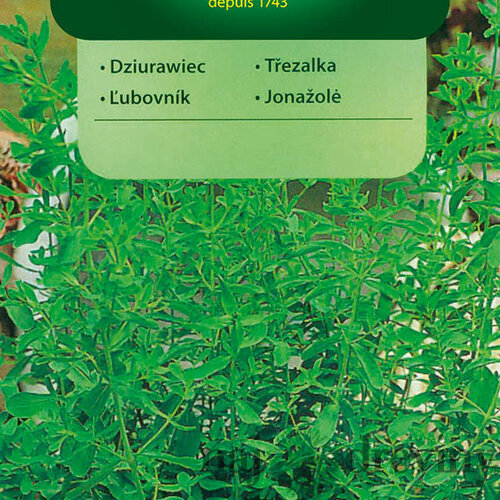 Vilmorin Ľubovník semiačka 0.2 g
