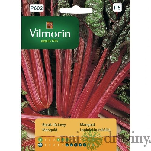 Vilmorin Mangold červenolistý red leaved 10 g