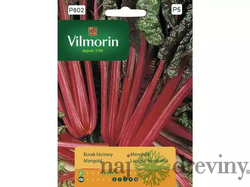 Vilmorin Mangold červenolistý red leaved 10 g