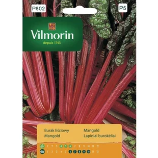 Vilmorin Mangold červenolistý red leaved 10 g