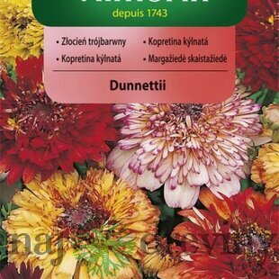Vilmorin Margarétka Dunnettii mix semiačka