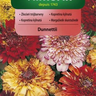 Vilmorin Margarétka Dunnettii mix semiačka