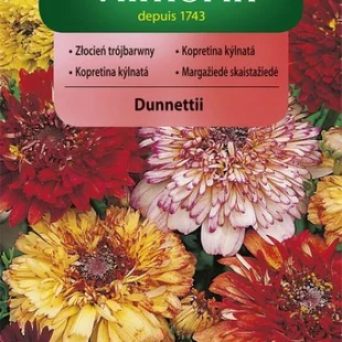 Vilmorin Margarétka Dunnettii mix semiačka