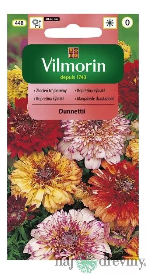 Vilmorin Margarétka Dunnettii mix semiačka
