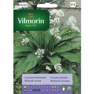 Vilmorin medvedí cesnak 0.4 g