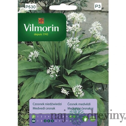 Vilmorin medvedí cesnak 0.4 g