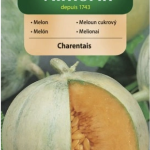 Vilmorin-Melón charentais 1g