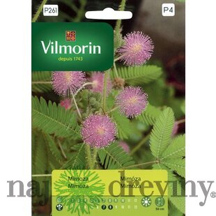 Vilmorin Mimóza semiačka 0.8 g
